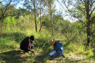 two scientists logging results in the woods with boundary lines setup