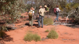 scientists in red desert bush
