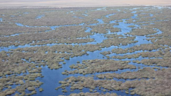 lowbidgee wetlands