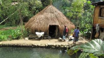 Small hut in Papua New Guinea
