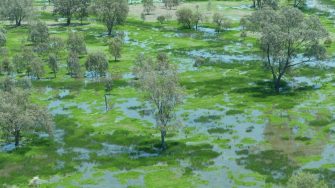 Day 22 - Moree - Sydney - 0002