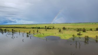 Aerial photo of lake edge flowing out onto a very green floodplain.  The sky is cloudy and grey and there is a rainbow on the horizon in the centre of the picture