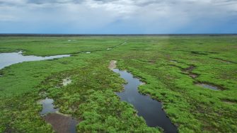 Aerial photo of vast inland wetland with a landscape scale patchwork of low level islands covered in green vegetation inundated by water