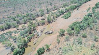 Aerial photo of waterhole with yellow-brown water on a dry creek with red soil and vegetated banks along bed and green trees covering floodplain