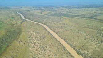 Aerail photo of a long large almost straight river disceting a flat green floodplain covered in ground cover and patches of trees some  more dense patches