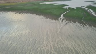 Floodplain with two patches of inundated areas divided by a green ground cover and several channels connecting the two  wet areas. Wetlands have light beige coloured water. 