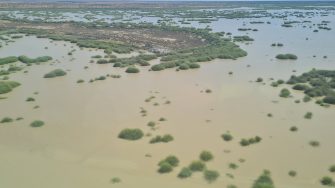 Aerial photo of lake in desert landscape. Water is light brown, lake has numerous balls of green shrub tops protruding from the water as they have been inundated by the full lake. The surrounding landscape is made up of orange earth with other smaller brown shrubs growing in patches so some earth is still exposed.