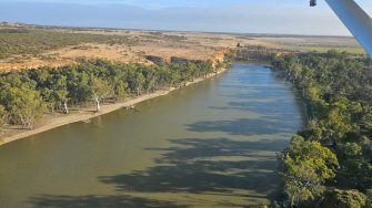East Australian Waterbird Survey low level flying over wetland