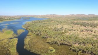 Inland lake and vegetated floodplain