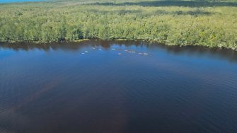 Aerial photo of group canoeing