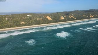 High vegetated dunes on beach
