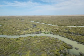 Outback wetlands