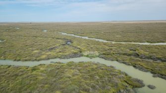 Outback wetlands