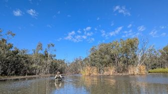 Person in canoe from behind in water with trees on bank