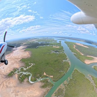 Drainage patterns near the Narrows and Curtis island north of Gladstone, aerial waterbird survey 2025