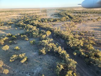 Early morning light on the Georgina River, aerial waterbird survey 2025
