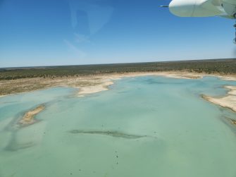Lake Galilee, aerial waterbird survey 2025