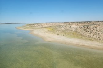Lake Torquinnie, aerial waterbird survey, 2025