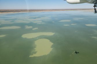 Lake Mumbleberry, aerial waterbird survey, 2025