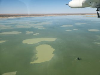 Lake Mumbleberry, aerial waterbird survey, 2025