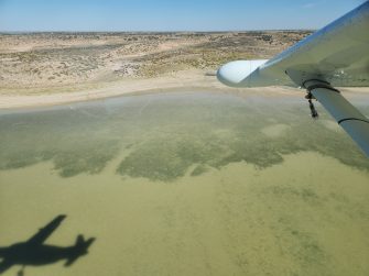 Lake Torquinnie, aerial waterbird survey, 2025