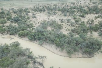 Bulloo River,  aerial waterbird survey, 2025