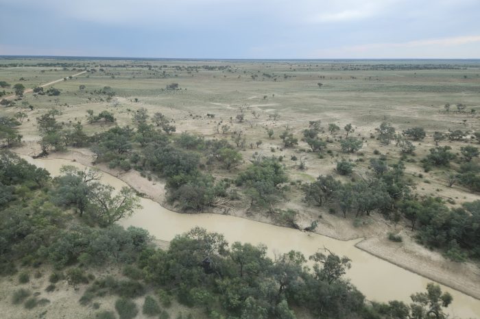 Bulloo River,  aerial waterbird survey, 2025