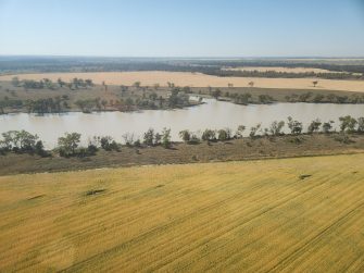 Macintyre River lagoon, aerial waterbird survey, 2025