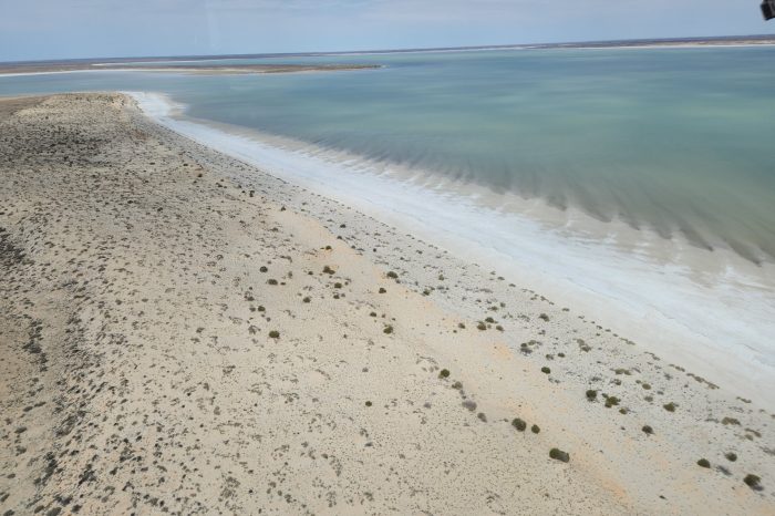 Kati Thanda-Lake Eyre with water