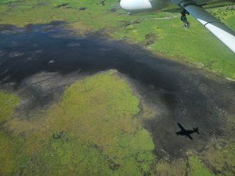 Drying lagoon near Narracoorte, aerial waterbird survey, 2025