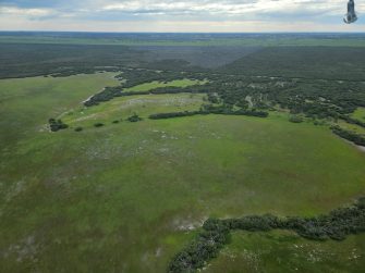 Dry freshwater wetland SA dunes aerial waterbird survey, 2025