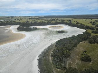 Dry saltwater wetland SA dunes, aerial waterbird survey, 2025