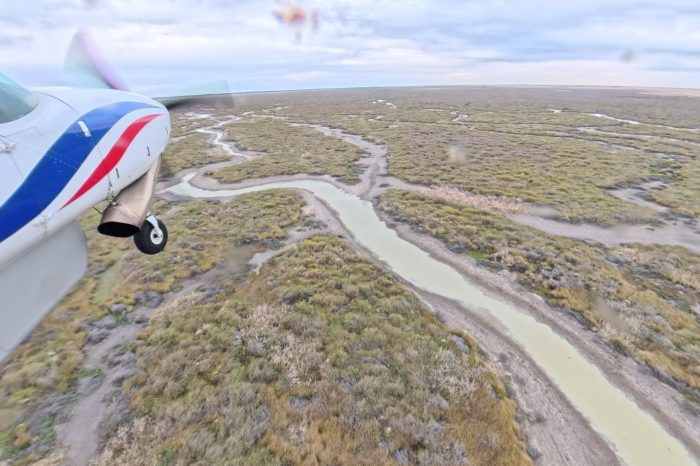 Eulimbah Swamp, aerial waterbird survey, 2025