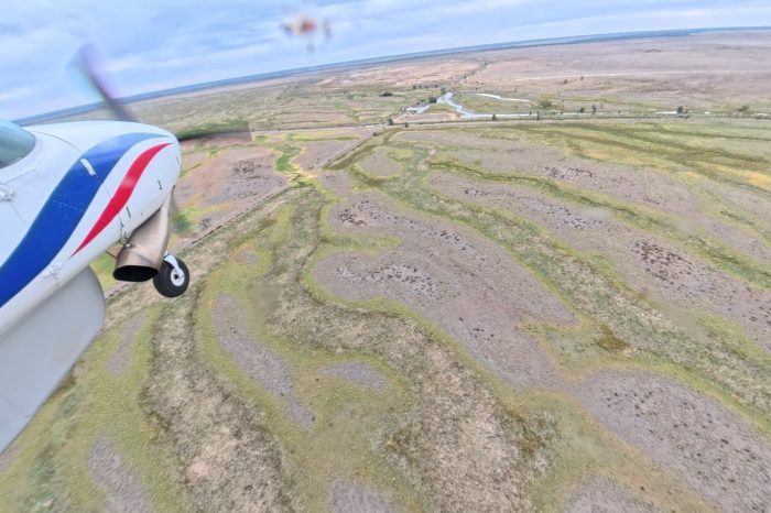 Pollen Creek, aerial waterbird survey, 2025