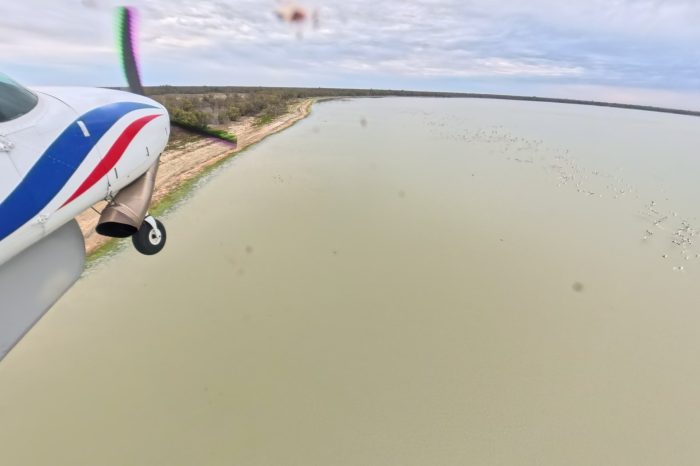 Yanga Lake, aerial waterbird survey, 2025