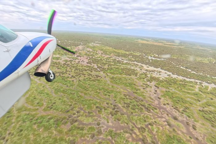 Yantabulla Swamp, aerial waterbird survey, 2025