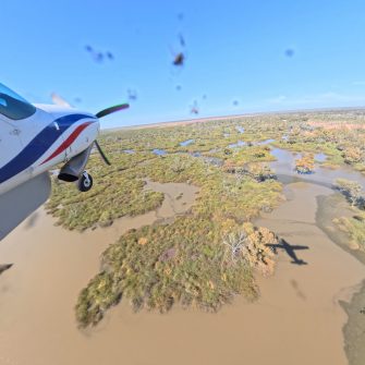 Narran Lakes, aerial waterbird survey, 2025