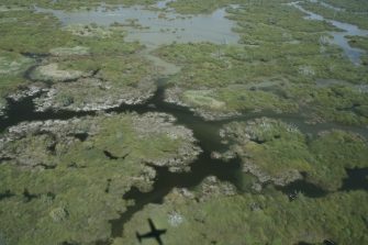 Narran Lake, aerial waterbird survey, 2025
