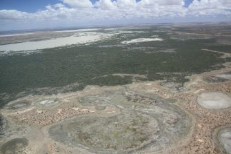 Bulloo Lakes, aerial waterbird survey, 2025