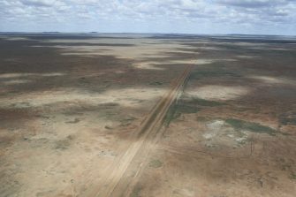 NSW-Qld Border fence, aerial waterbird survey, 2025