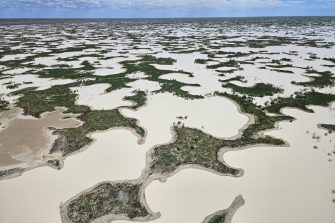 Bulloo Overflow NSW, aerial waterbird survey, 2025