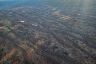 Strzelecki Desert aerial waterbird survey, 2025