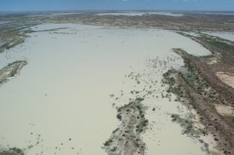 Coongie Lakes extend in every direction, aerial waterbird survey 2025