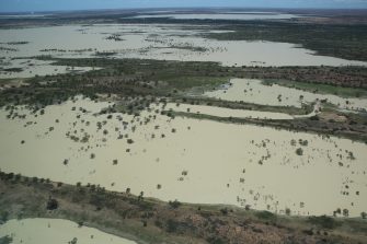 Coongie Lakes forming complex patterns, aerial waterbird survey 2025