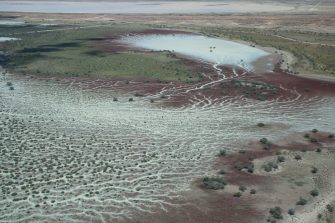 Cooper Creek floodplain drying aerial waterbird survey, 2025