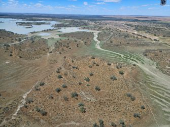 Coongie Lakes edges, excellent habitat, aerial waterbird survey, 2025