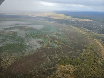 Dry Lake Hindmarsh, aerial waterbird survey, 2025