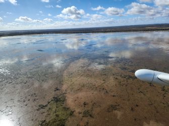 Coombool Swamp, aerial waterbird survey, 2025