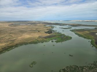 Lake Alexandrina in the foreground, Coorong behind the sand dunes, aerial waterbird survey, 2025