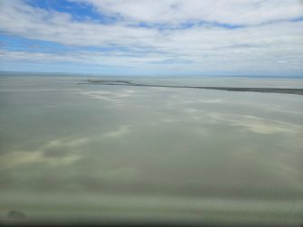 Lake Alexandrina peninsula, aerial waterbid survey 2025